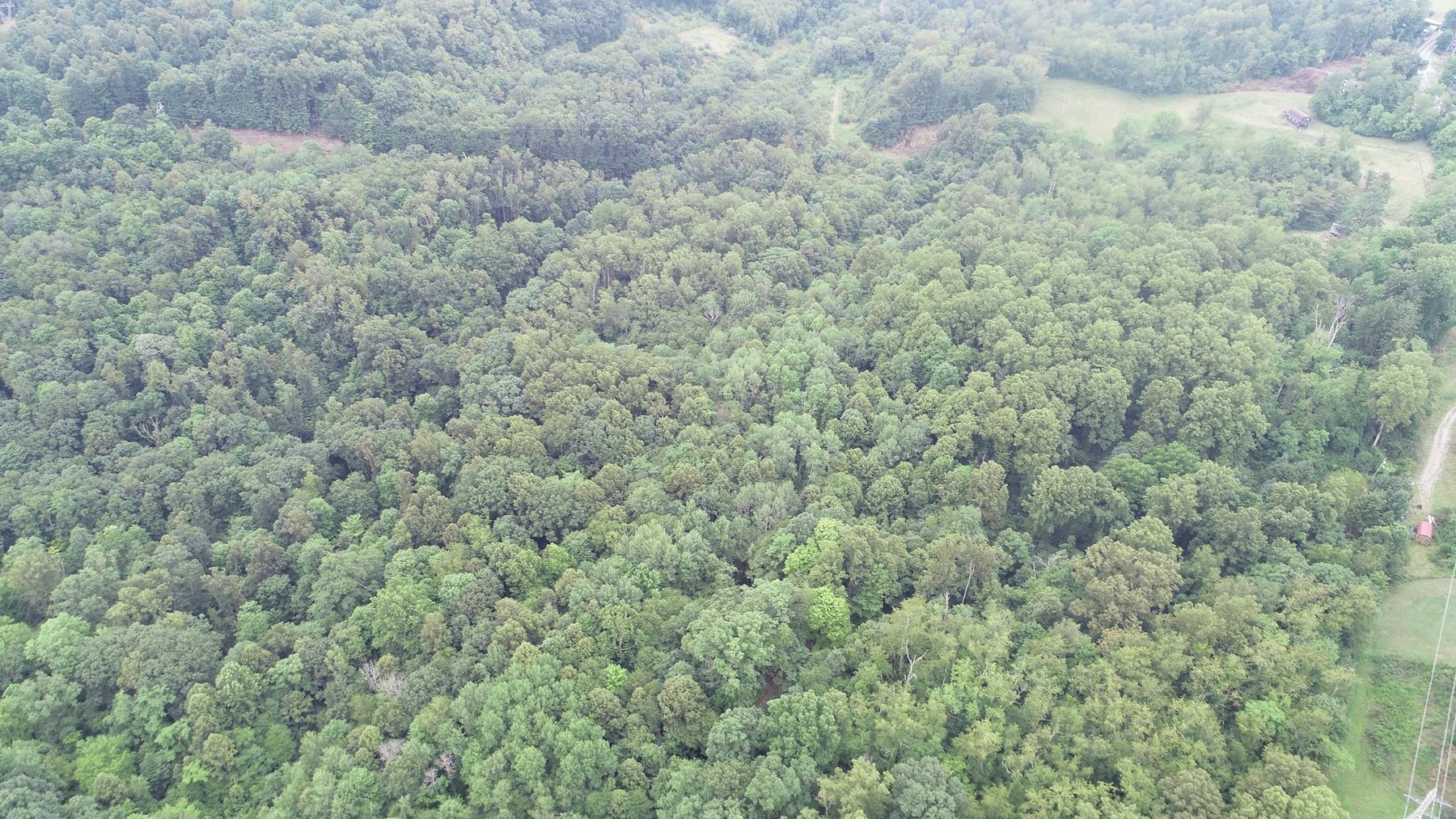 Image for SOLD $231,000 - 42 Acres Along Stewartstown Road near Cheat Lake