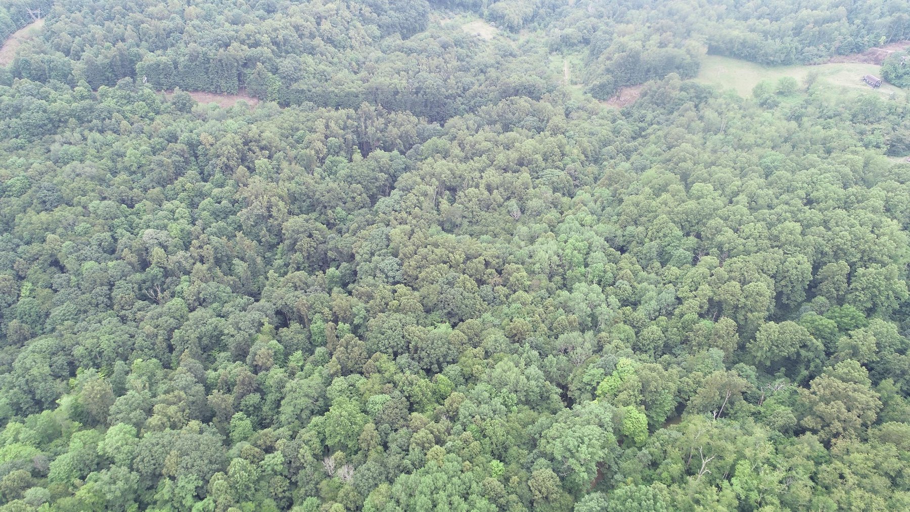 Image for SOLD $231,000 - 42 Acres Along Stewartstown Road near Cheat Lake