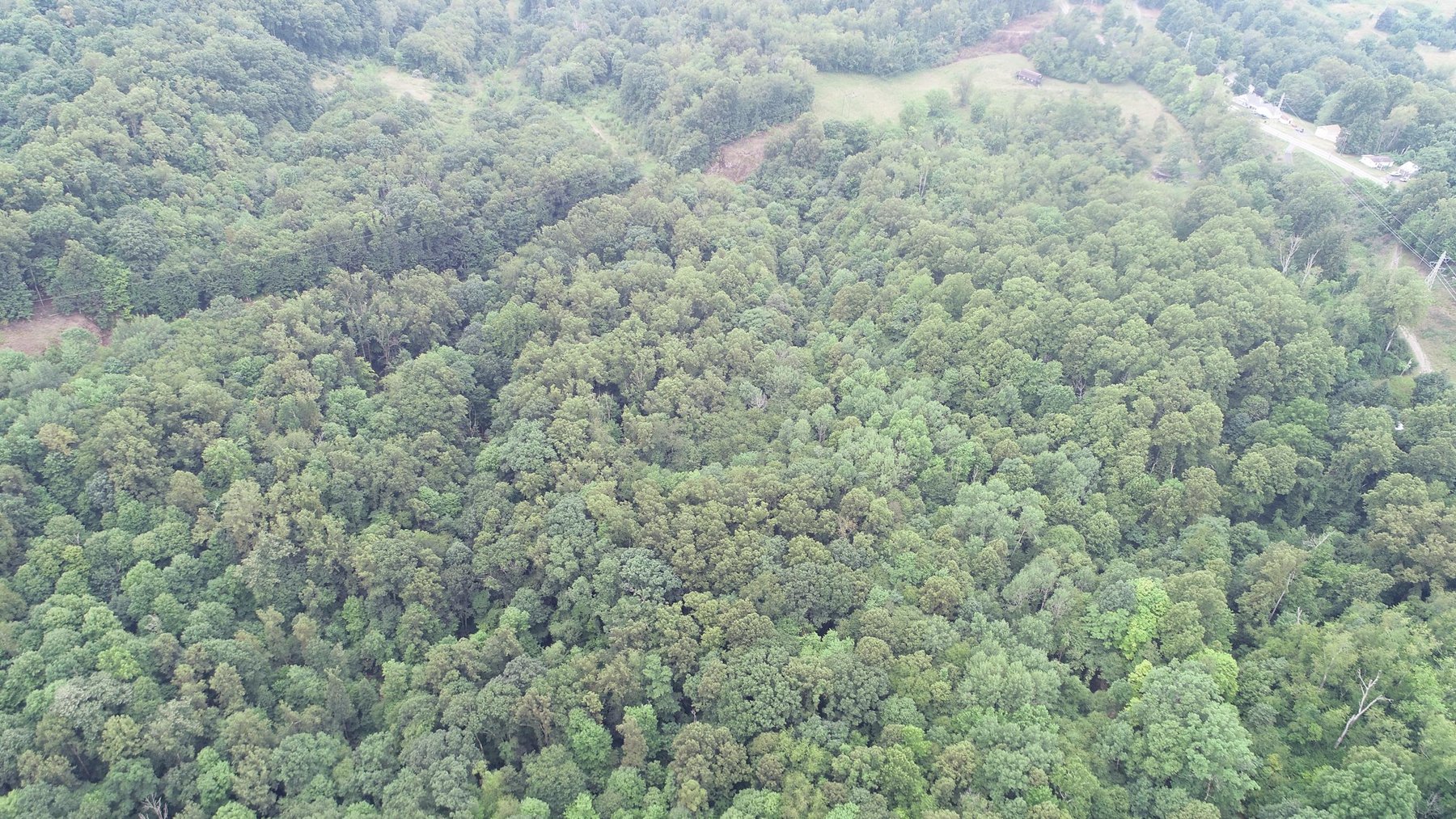 Image for SOLD $231,000 - 42 Acres Along Stewartstown Road near Cheat Lake