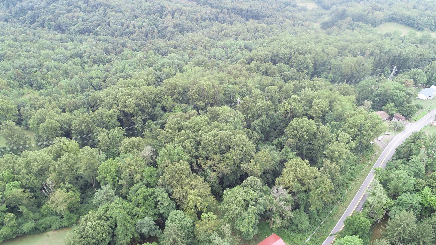 Image for SOLD $231,000 - 42 Acres Along Stewartstown Road near Cheat Lake