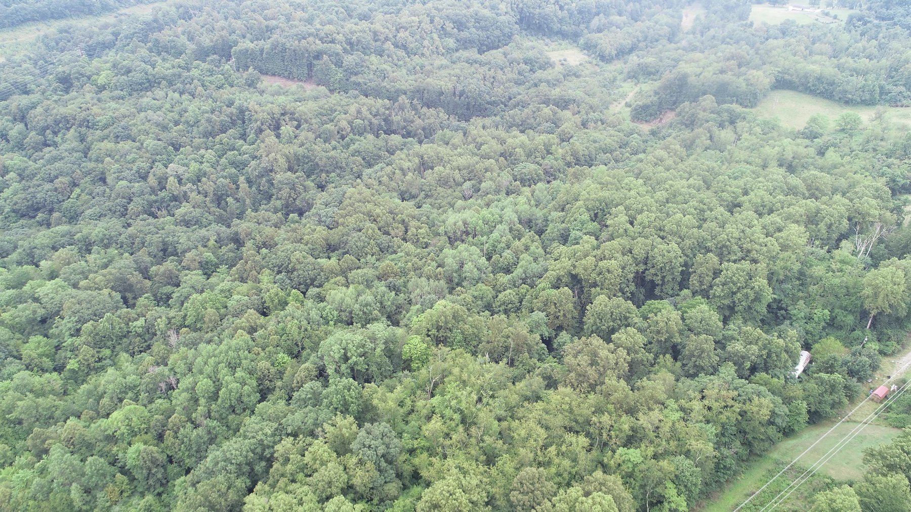 Image for SOLD $231,000 - 42 Acres Along Stewartstown Road near Cheat Lake