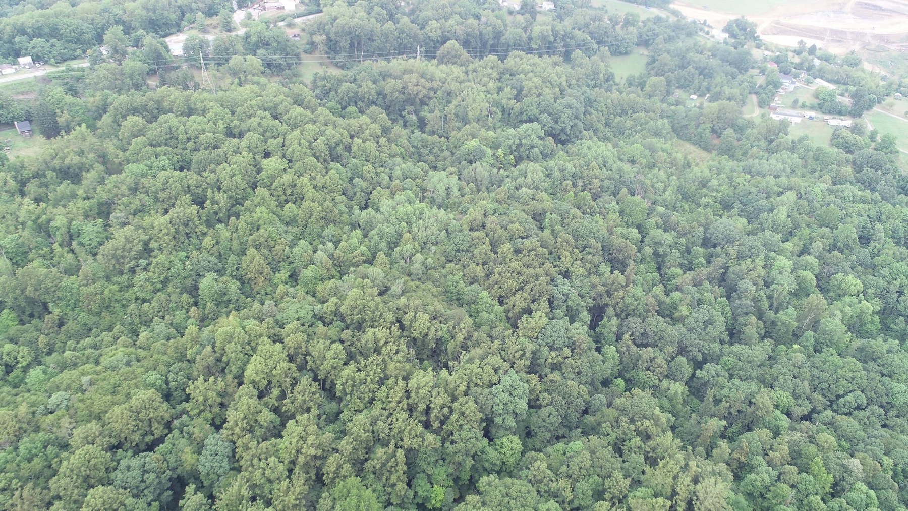 Image for SOLD $231,000 - 42 Acres Along Stewartstown Road near Cheat Lake