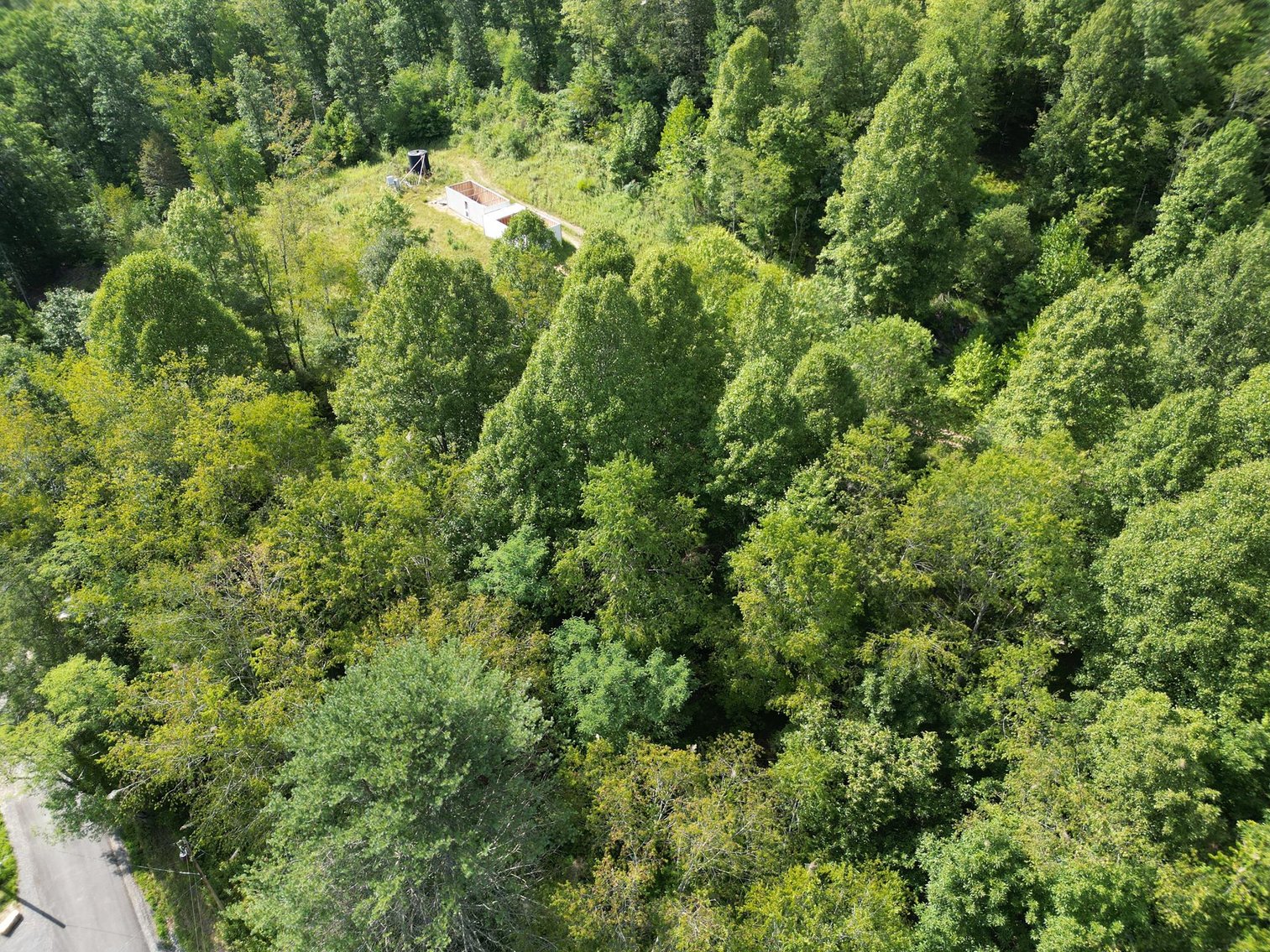 Image for SOLD $199,100 - 82 Acres along Sandy Creek in Taylor County