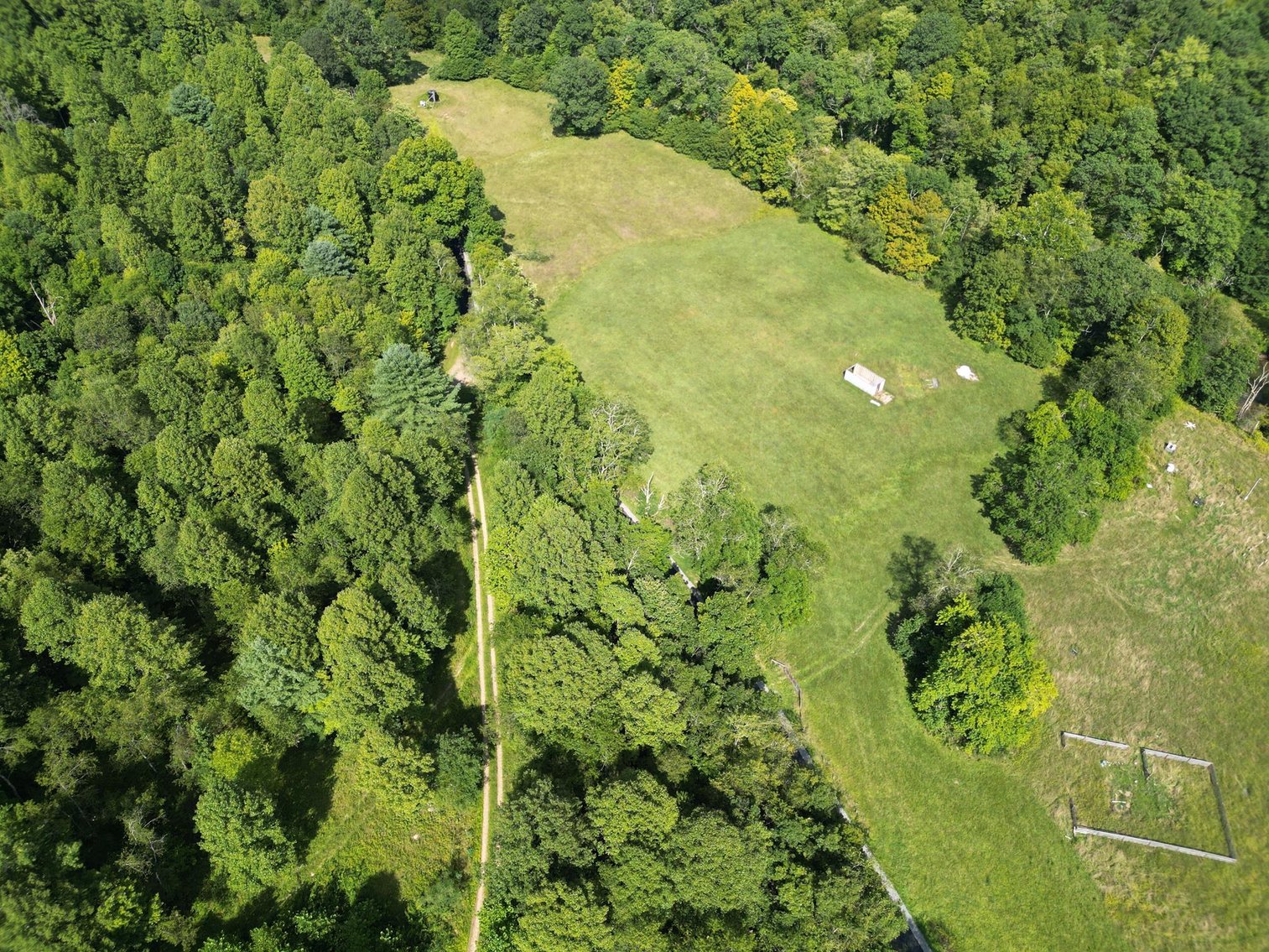 Image for SOLD $199,100 - 82 Acres along Sandy Creek in Taylor County