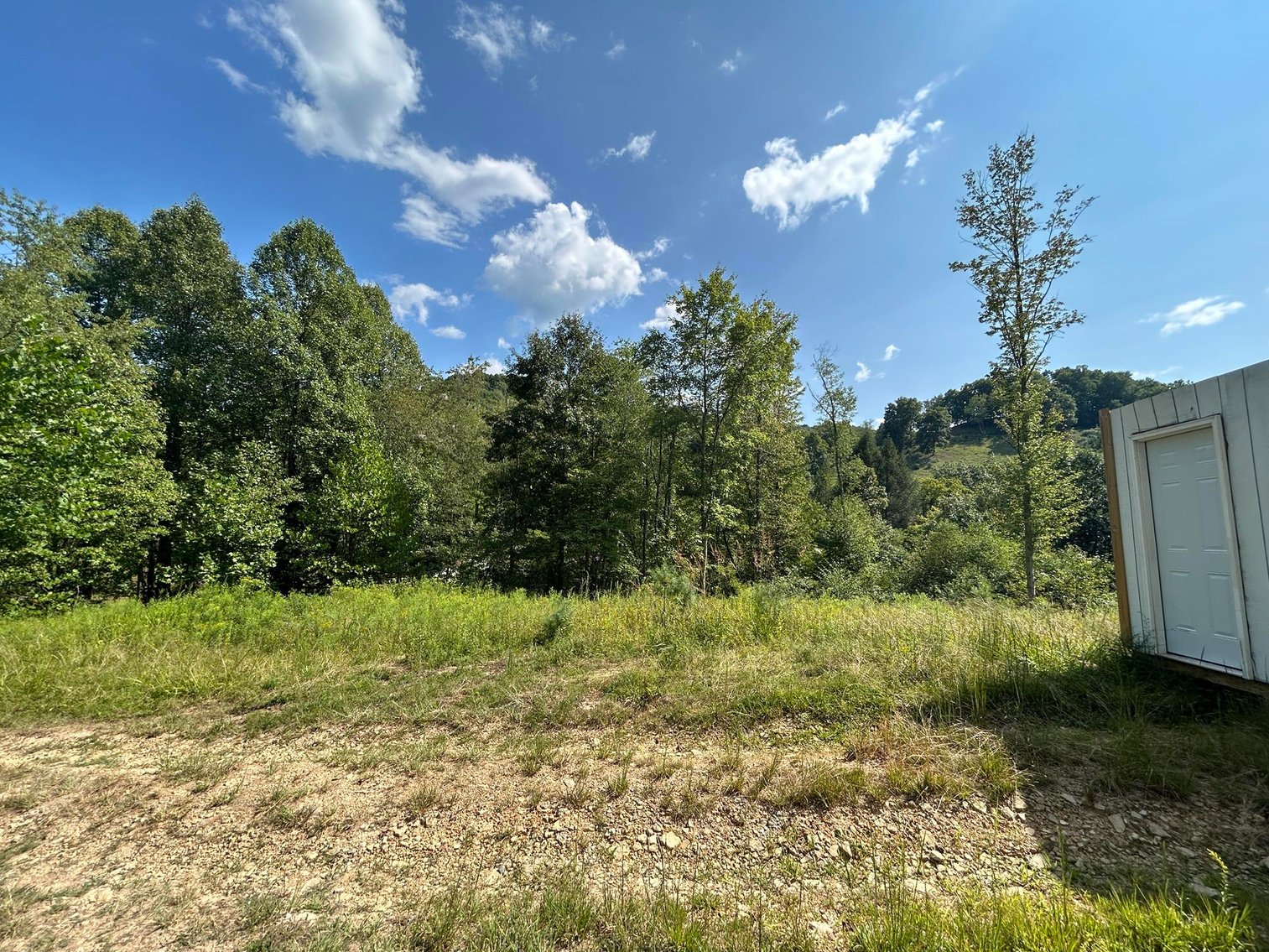 Image for SOLD $199,100 - 82 Acres along Sandy Creek in Taylor County