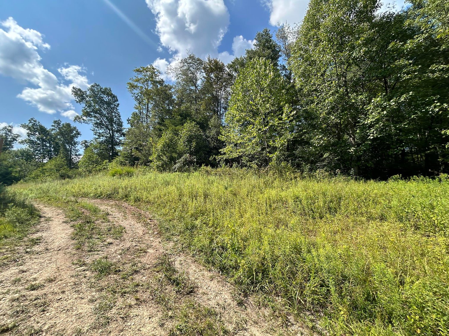 Image for SOLD $199,100 - 82 Acres along Sandy Creek in Taylor County