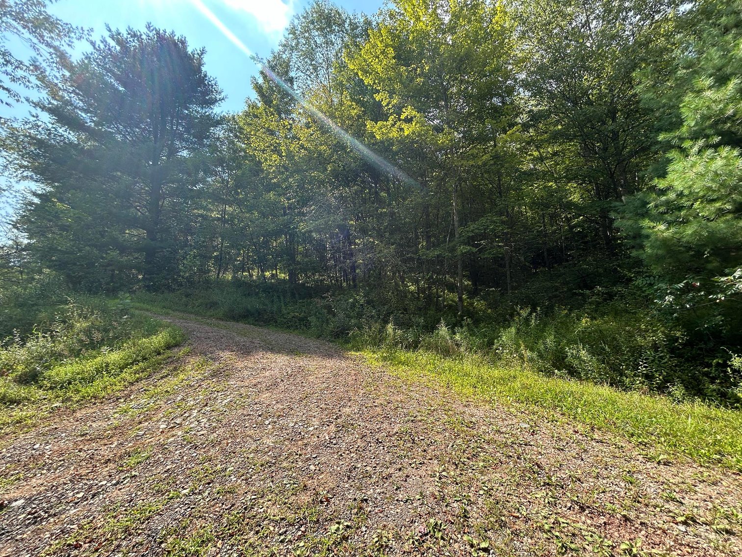 Image for SOLD $199,100 - 82 Acres along Sandy Creek in Taylor County