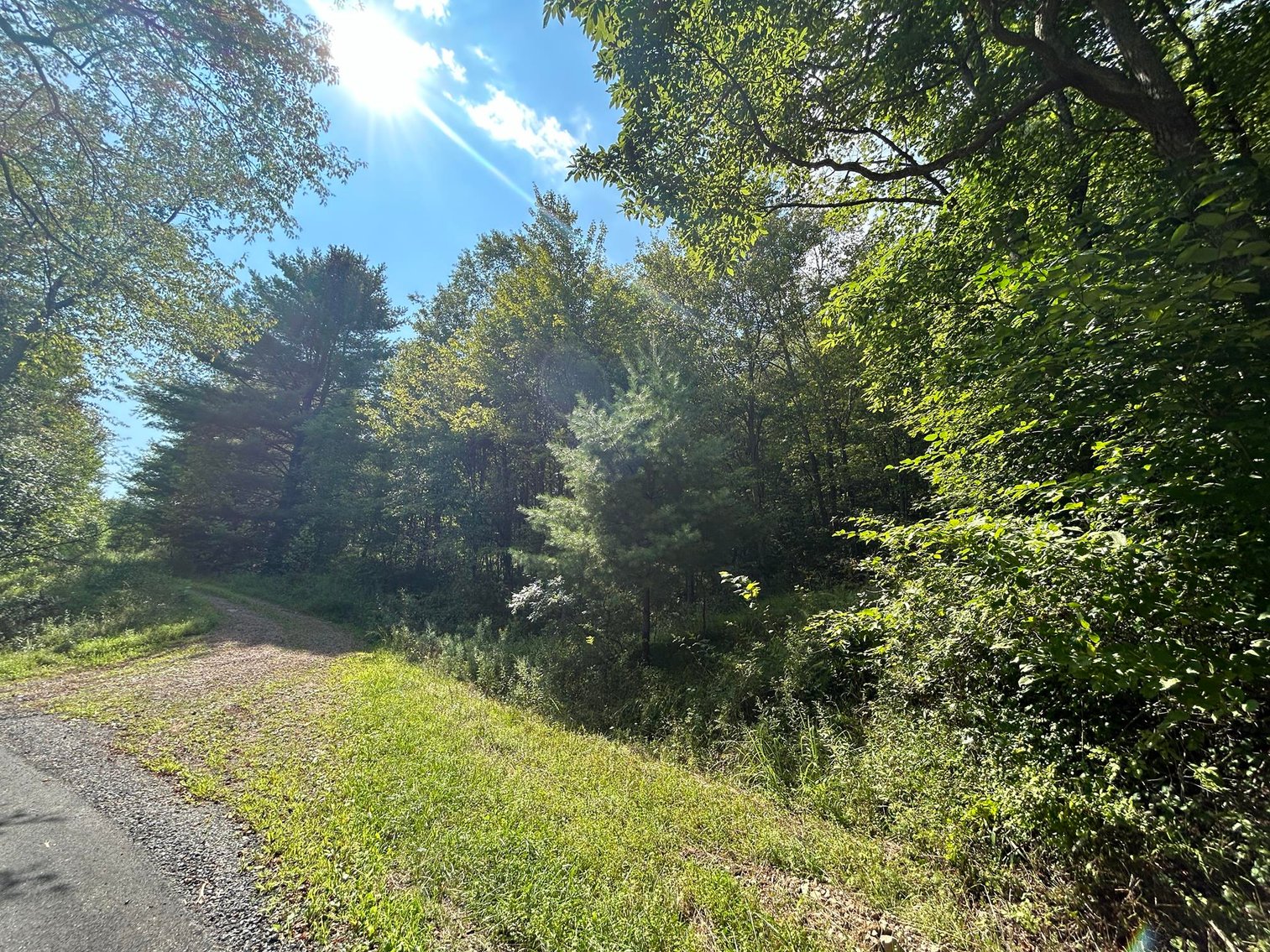 Image for SOLD $199,100 - 82 Acres along Sandy Creek in Taylor County