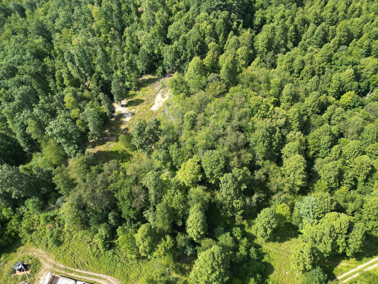 Image for SOLD $199,100 - 82 Acres along Sandy Creek in Taylor County