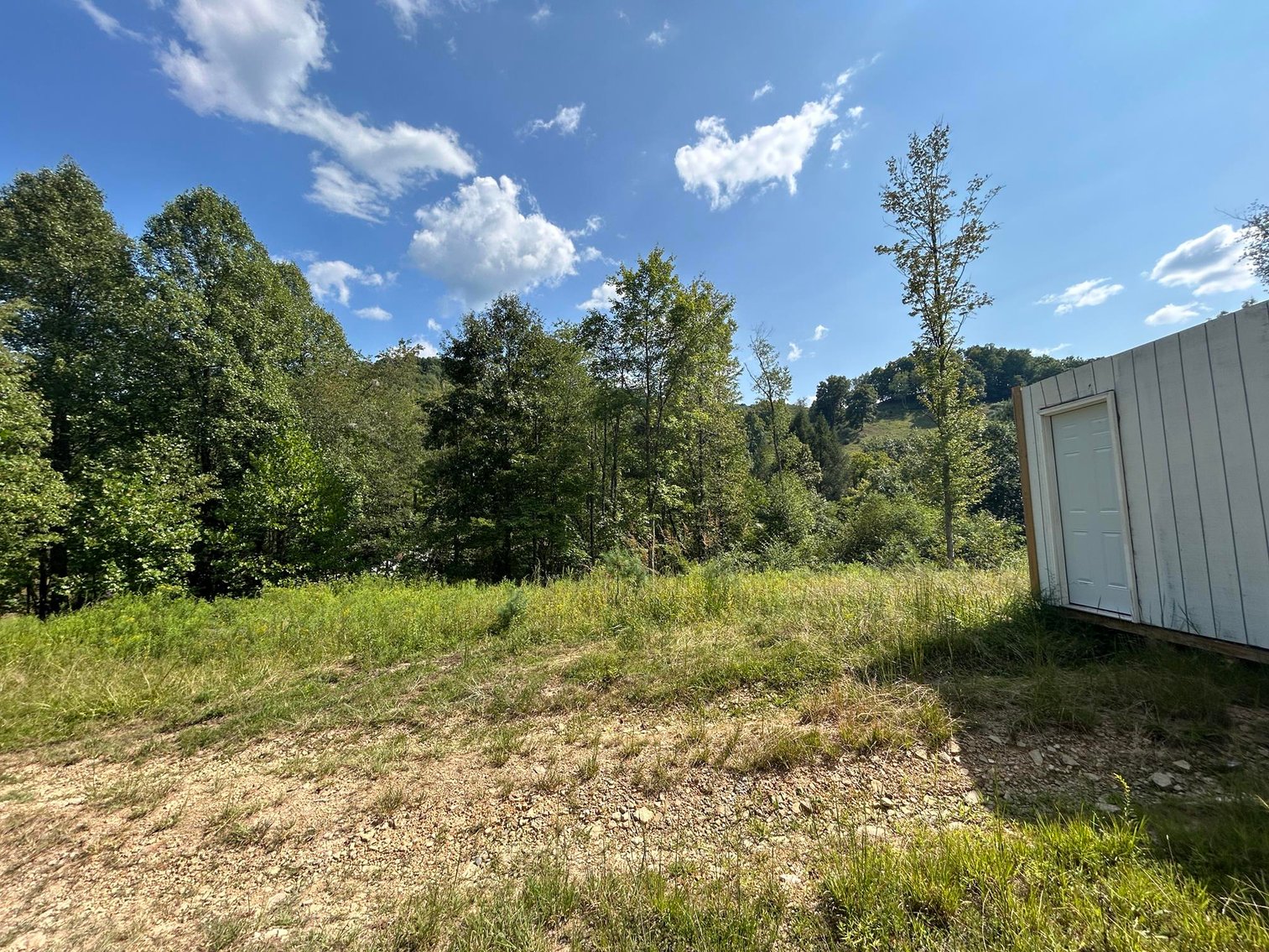 Image for SOLD $199,100 - 82 Acres along Sandy Creek in Taylor County