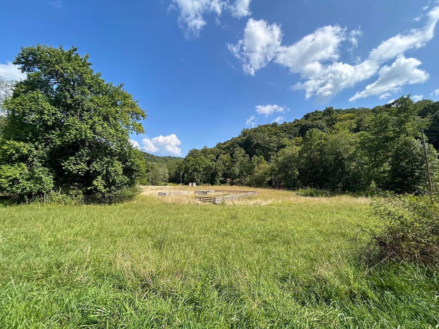 Image for SOLD $199,100 - 82 Acres along Sandy Creek in Taylor County