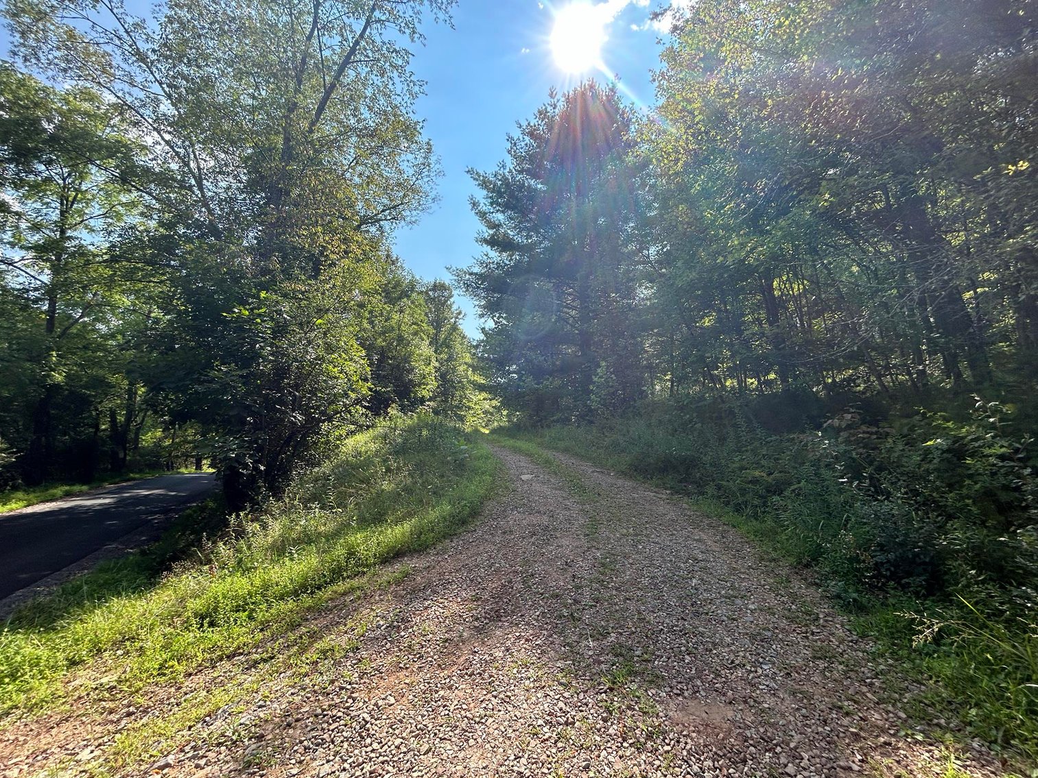 Image for SOLD $199,100 - 82 Acres along Sandy Creek in Taylor County