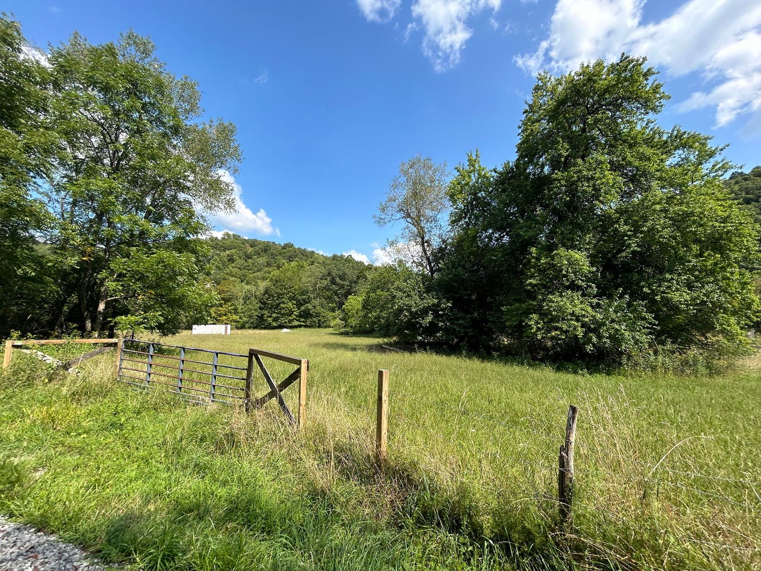 Image for SOLD $199,100 - 82 Acres along Sandy Creek in Taylor County