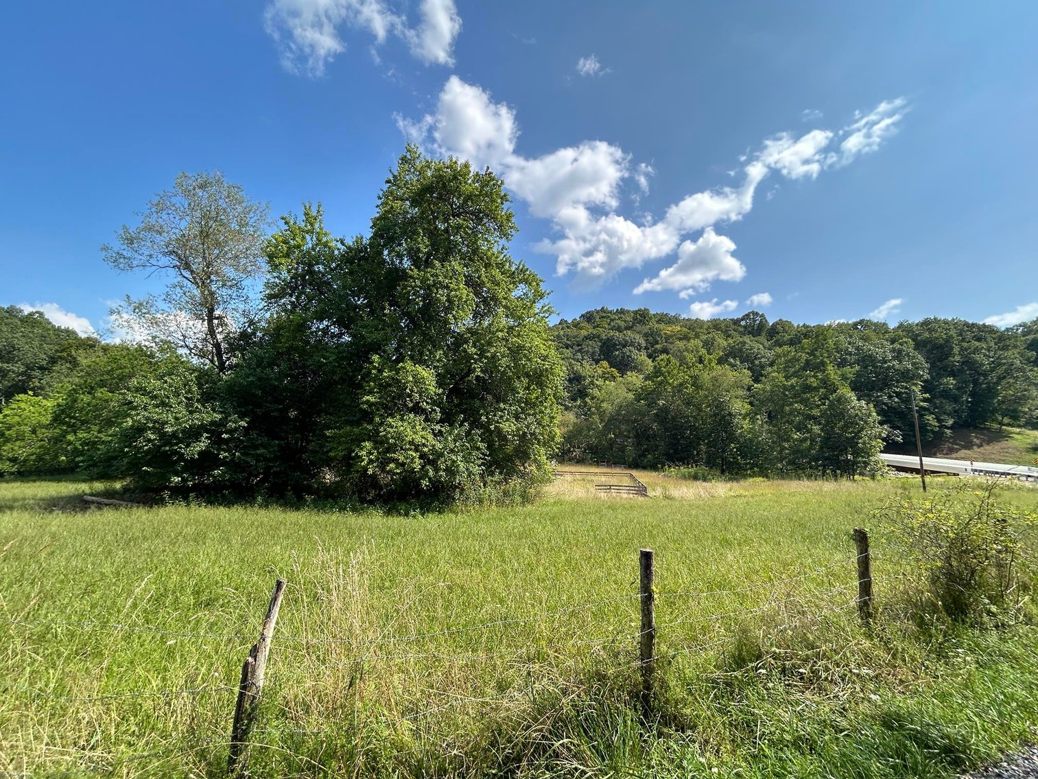 Image for SOLD $199,100 - 82 Acres along Sandy Creek in Taylor County