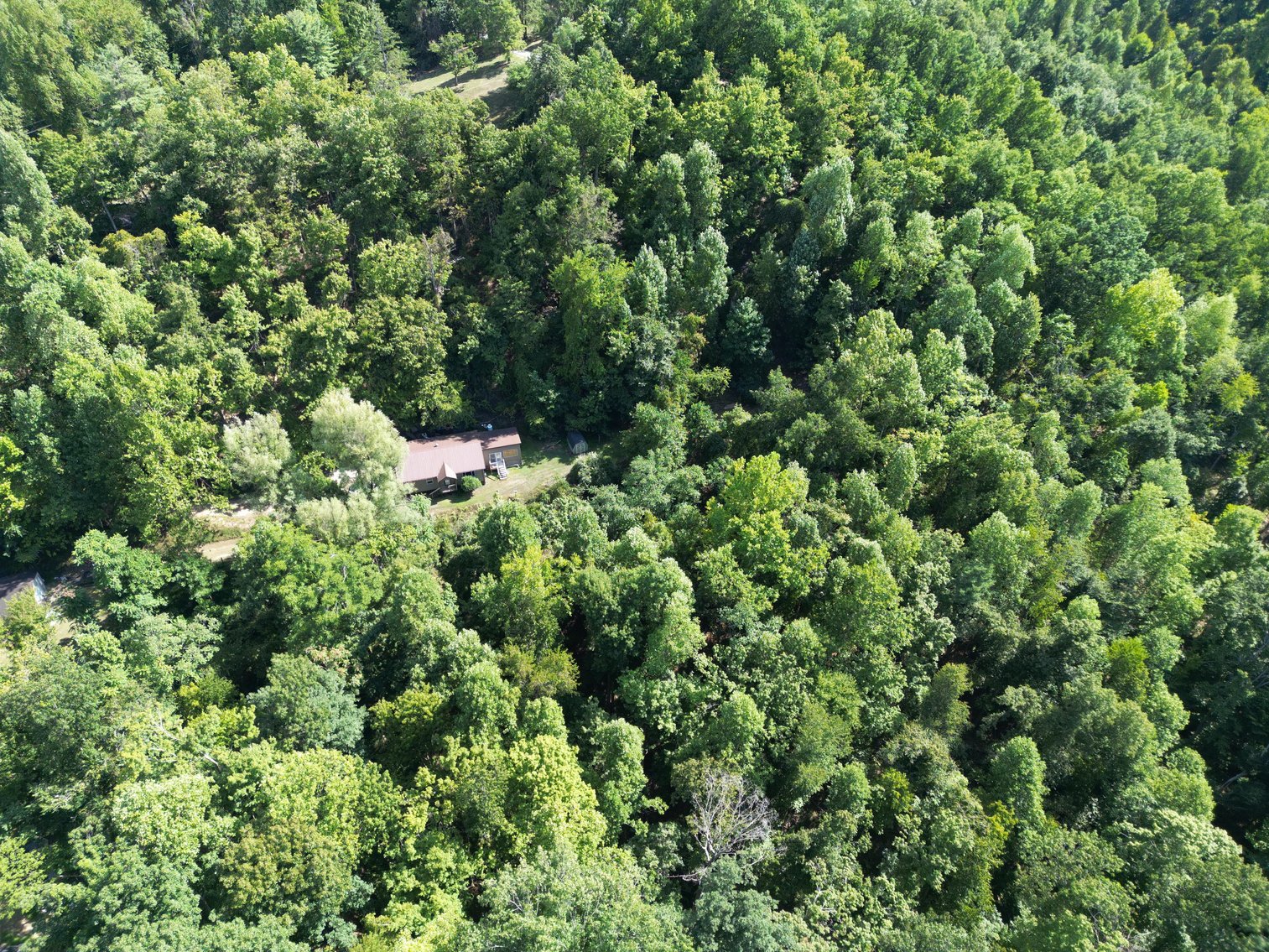 Image for SOLD $90,750 - 3 Bedroom on 6 Private Acres in Huntington