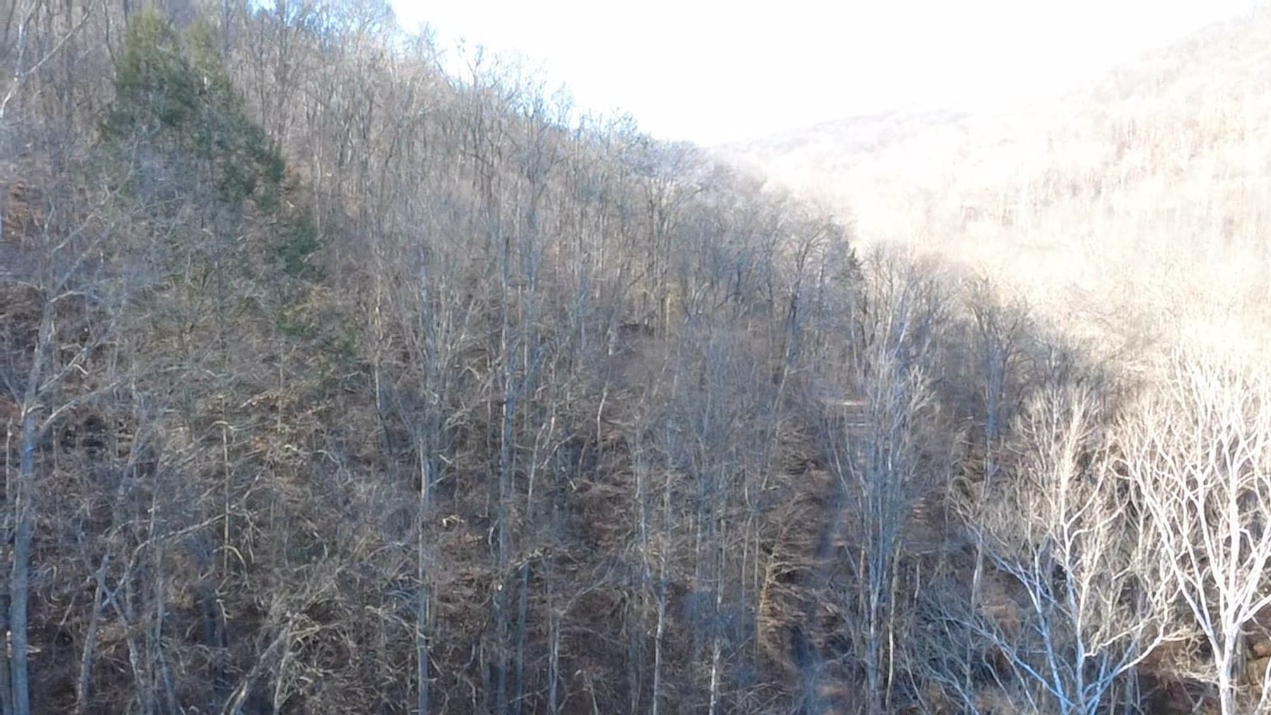 Image for SOLD $176,000 - 181 Surveyed Acres in Boone County Selling to the Highest Bidder