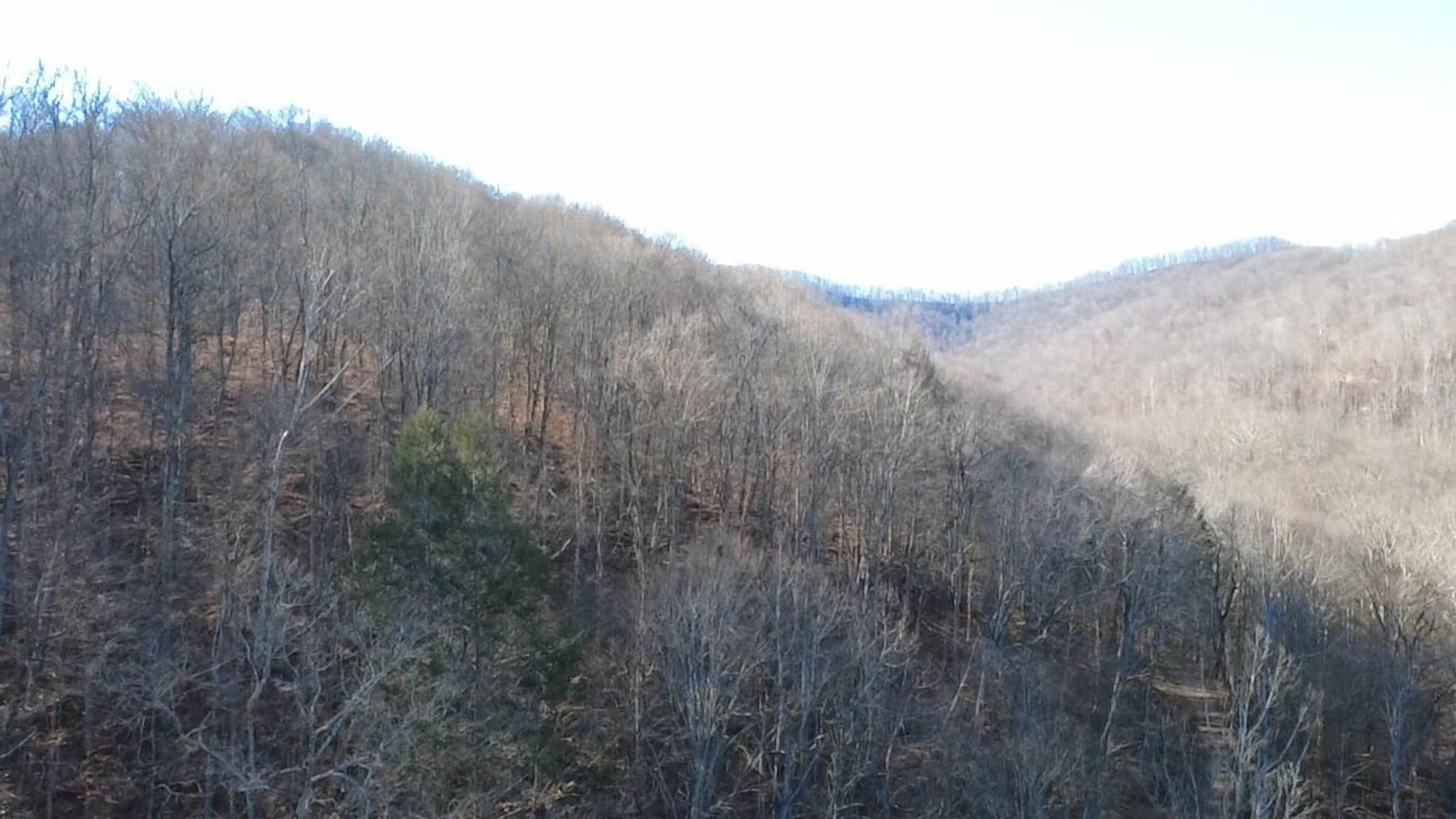 Image for SOLD $176,000 - 181 Surveyed Acres in Boone County Selling to the Highest Bidder