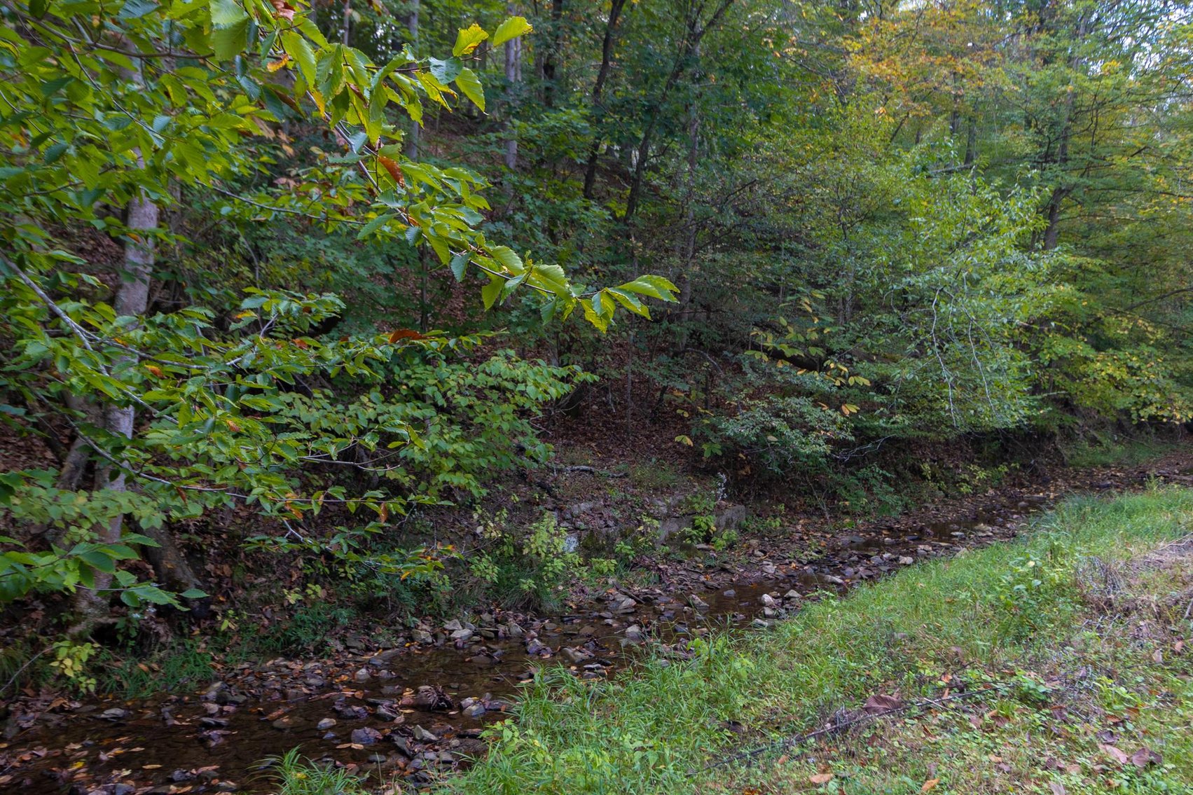 Image for SOLD $162,250 - Classic Brick 5 Bedroom on 2 ½ Acres in Huntington