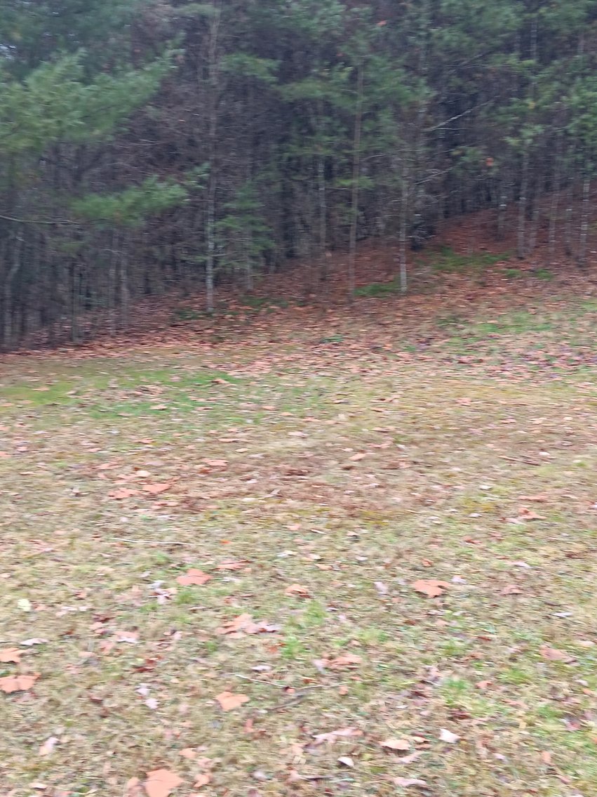 Image for SOLD $176,000 - 4 Bedroom on 10 ½ Acres in Fayette County