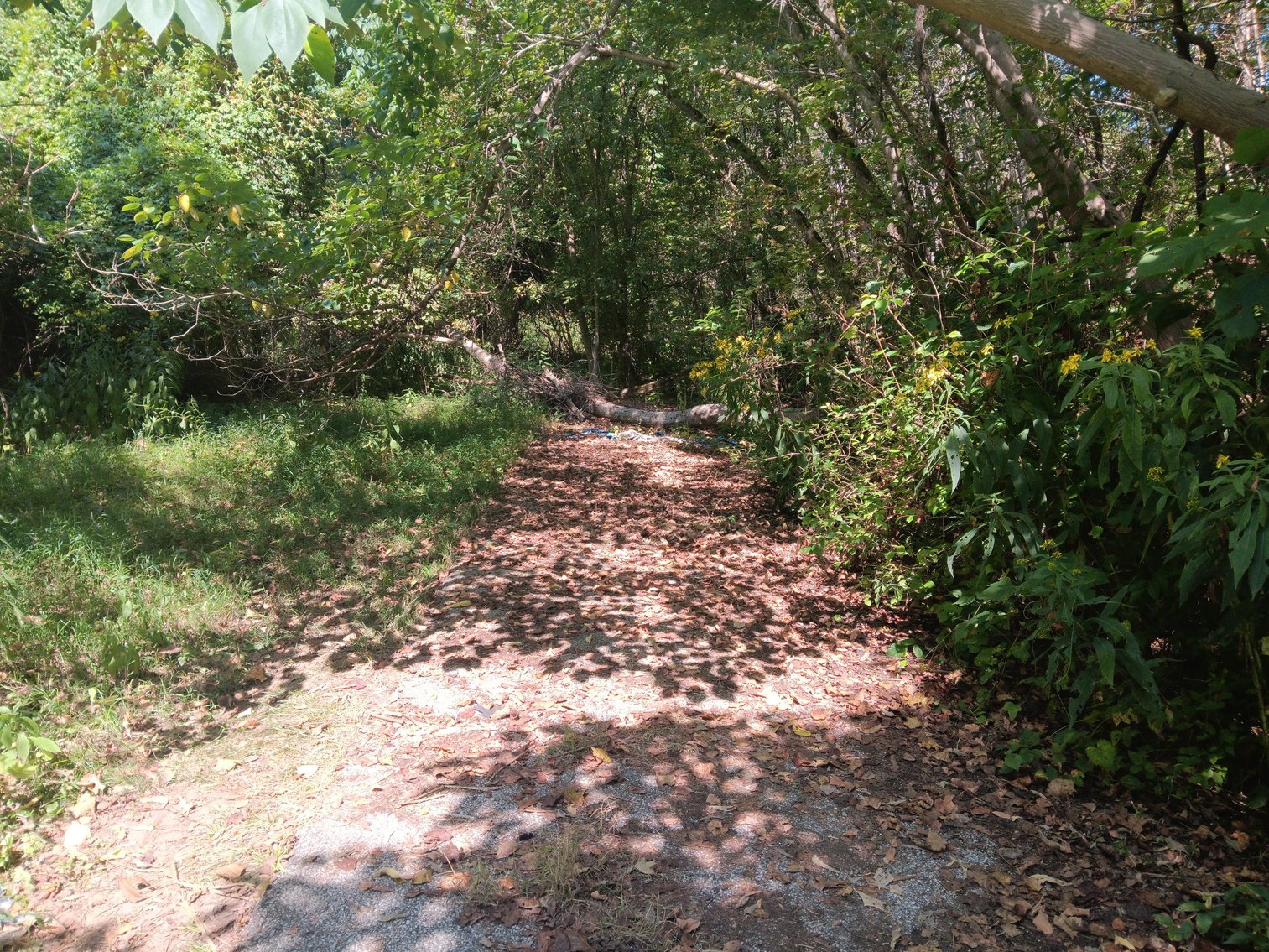 Image for SOLD - 13 Tracts in 7 Counties Selling to the Highest Bidders