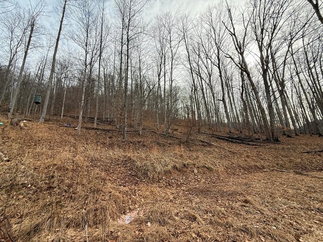 Image for SOLD $23,375 - Nearly 14 Acres in Braxton County with Hunting Cabin