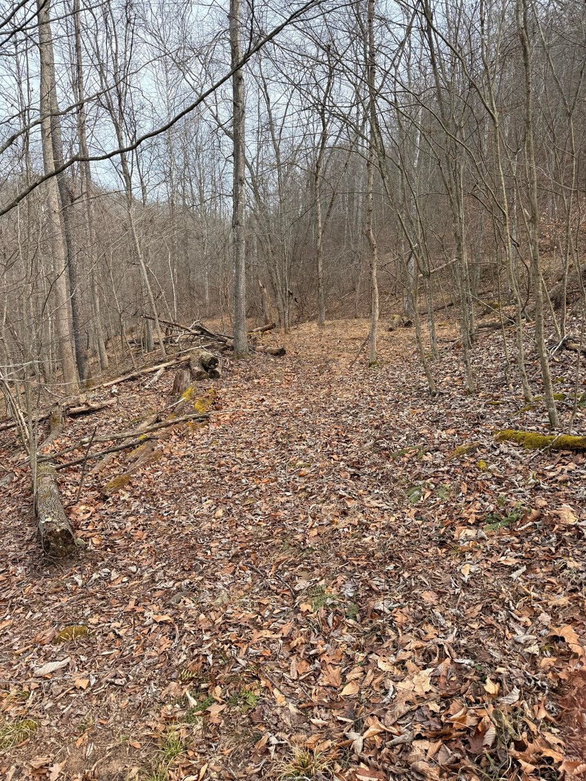 Image for SOLD $23,375 - Nearly 14 Acres in Braxton County with Hunting Cabin