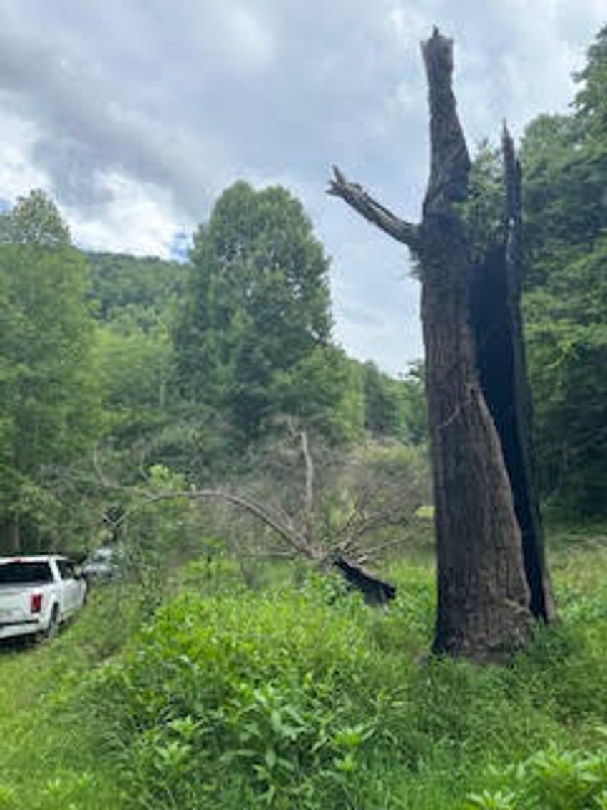 Image for SOLD $53,350 - Nearly 50 Acres in Logan County