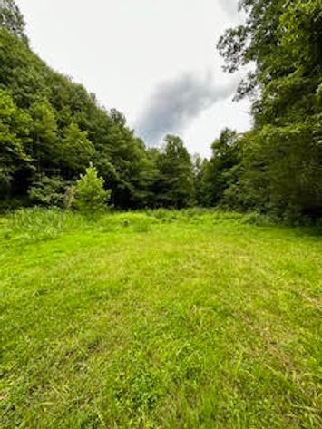 Image for SOLD $53,350 - Nearly 50 Acres in Logan County