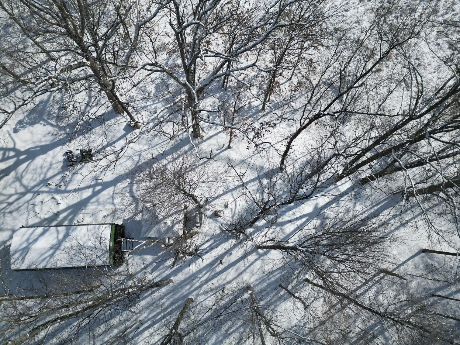 Image for SOLD $49,500 - Secluded 7.48-Acre Getaway Property with Cabin, Home & Trails in Mason County