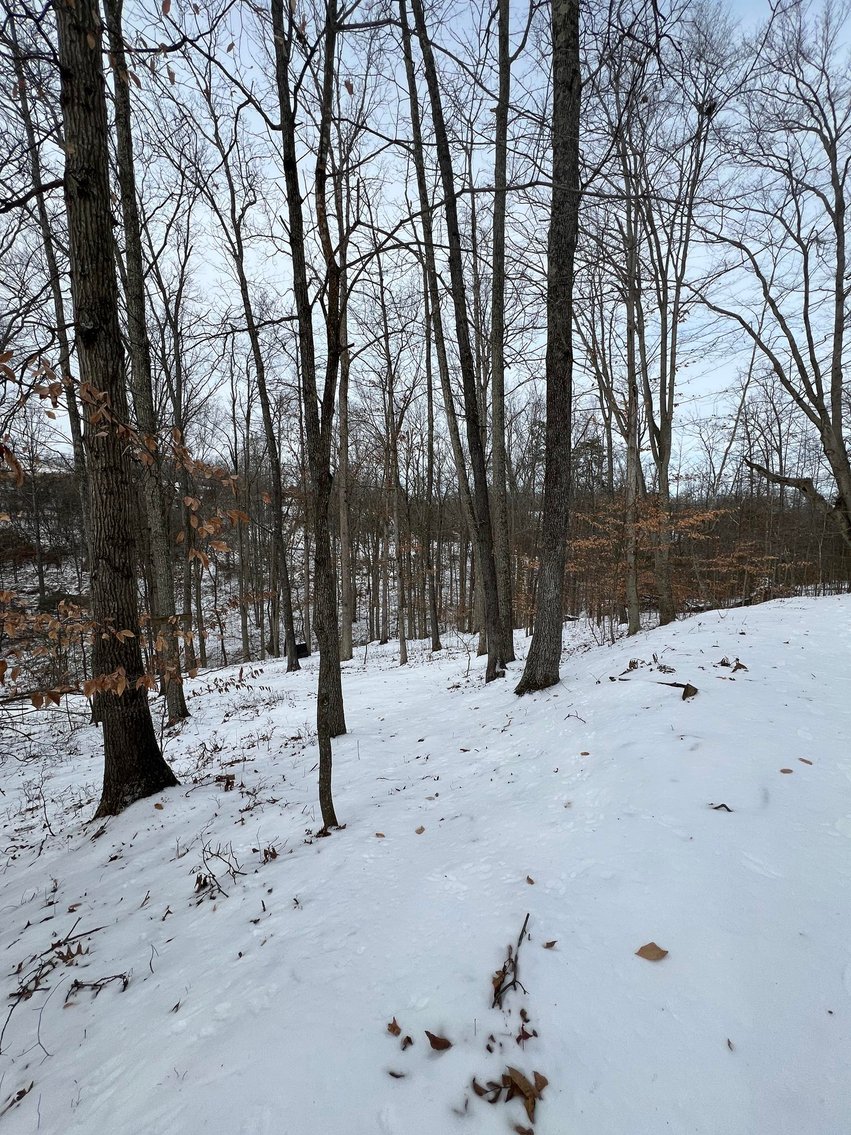 Image for SOLD $49,500 - Secluded 7.48-Acre Getaway Property with Cabin, Home & Trails in Mason County