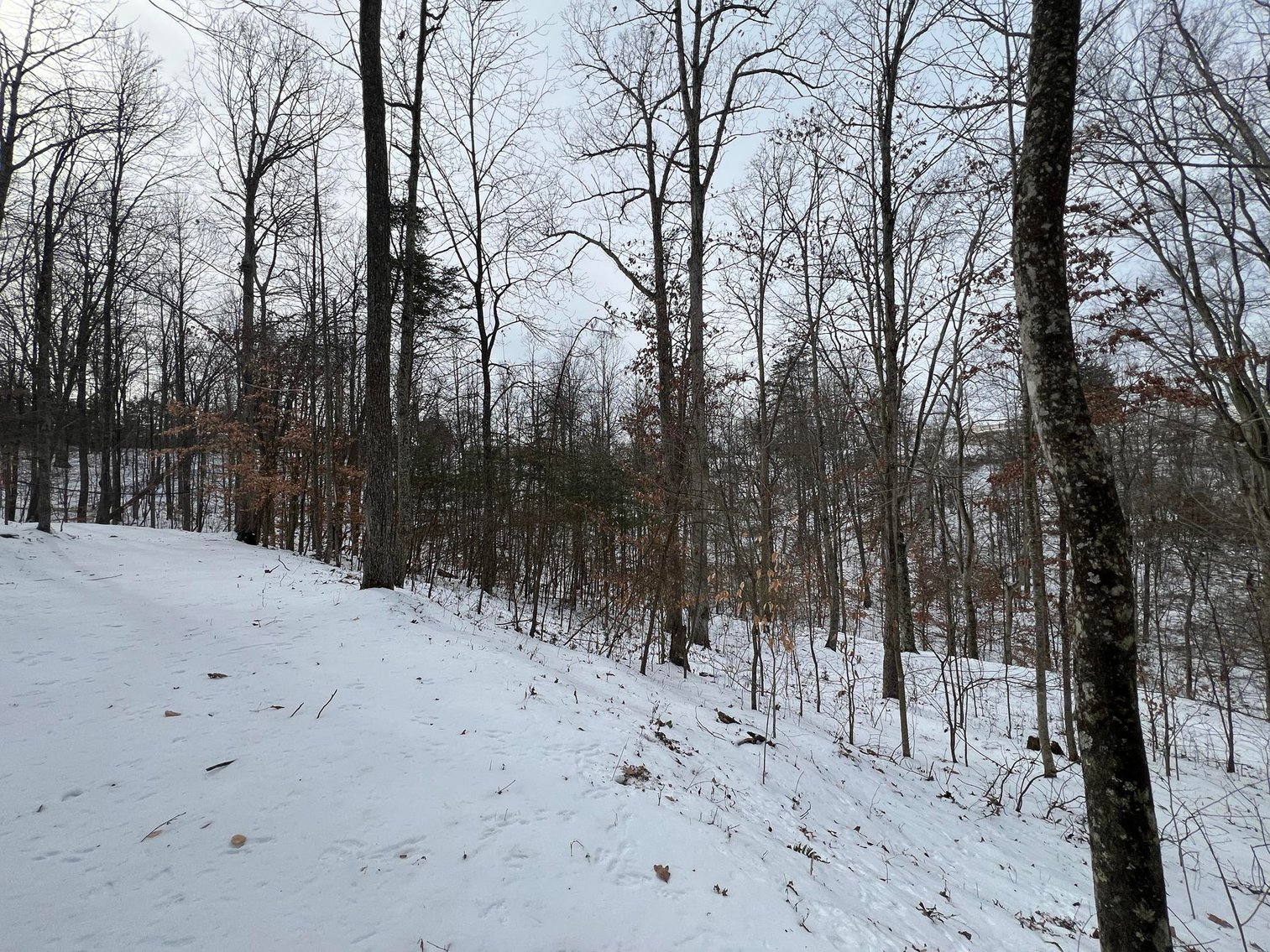 Image for SOLD $49,500 - Secluded 7.48-Acre Getaway Property with Cabin, Home & Trails in Mason County