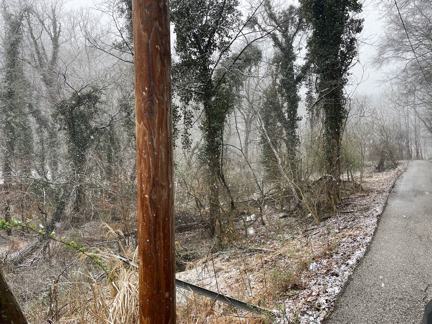 Image for Three Charleston Properties Selling to the Highest Bidders