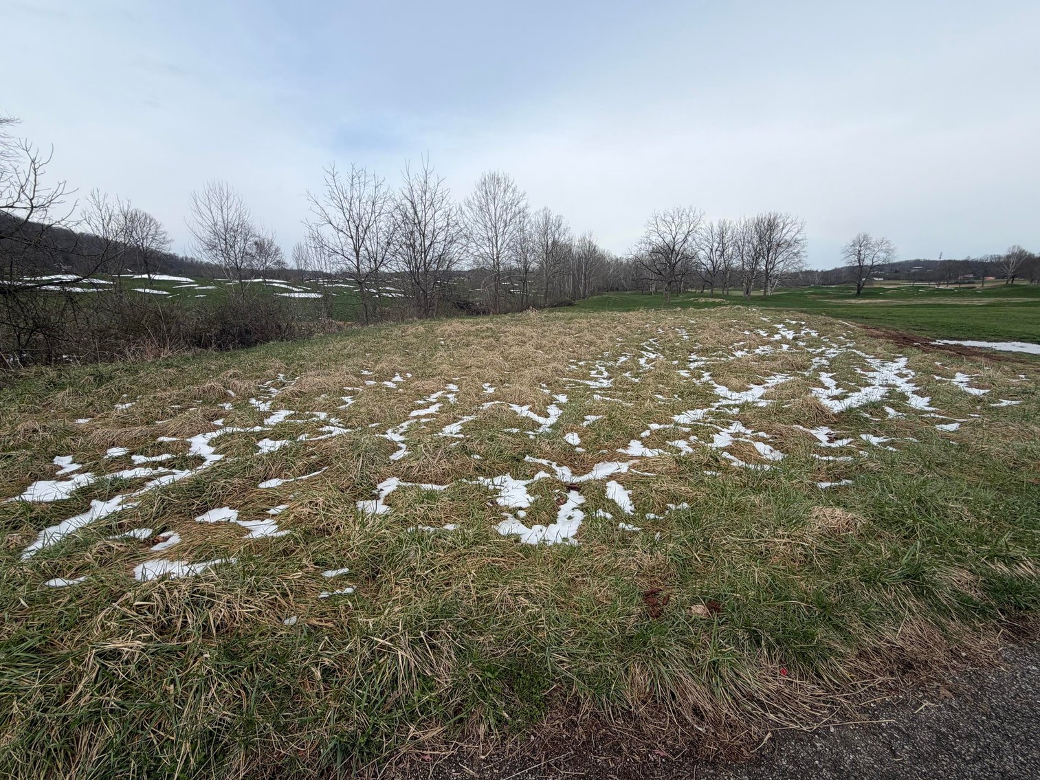 Image for Beautiful Lot on Hole 18 of the Woodridge Golf Course