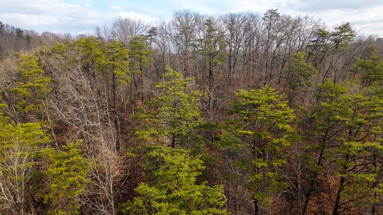 Image for 10 Acres Near New Intersection Development in Culloden