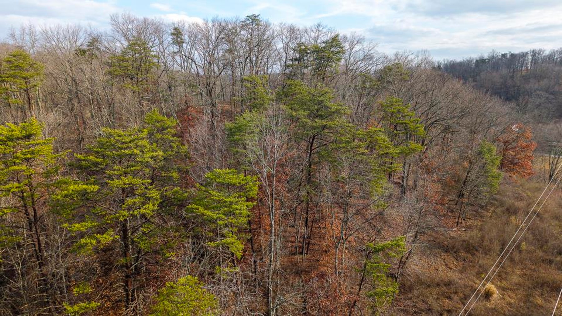 Image for 10 Acres Near New Intersection Development in Culloden