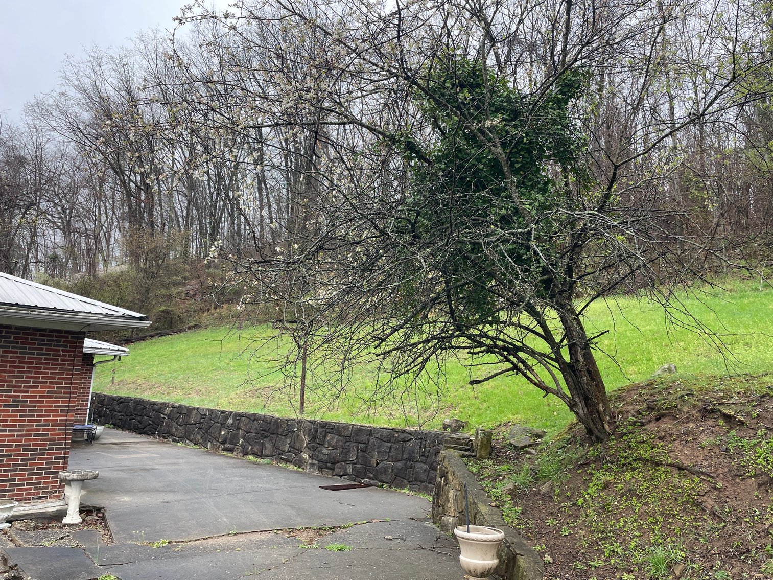 Image for Income Generating Brick 3 Bedroom on 1.8 Acres in the South Hills of Charleston