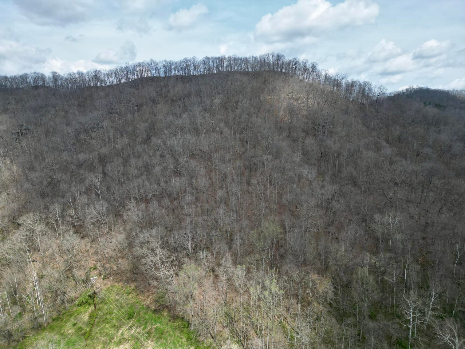 Image for 92.79 Surveyed Acres in Boone County Selling to the Highest Bidder