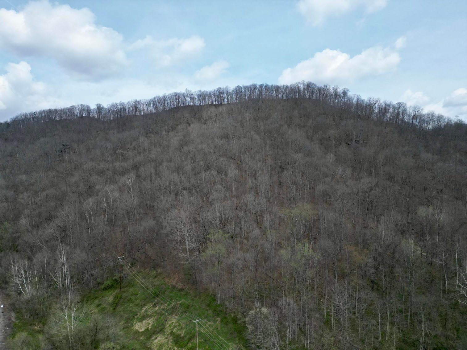 Image for 92.79 Surveyed Acres in Boone County Selling to the Highest Bidder