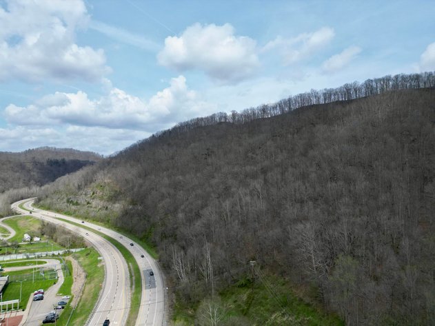 Image for 92.79 Surveyed Acres in Boone County Selling to the Highest Bidder