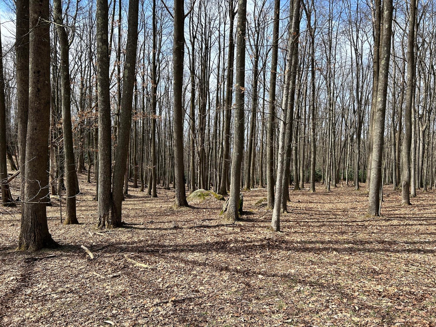 Image for Brick Home on Over 20 Acres on Summers School Rd. in Morgantown