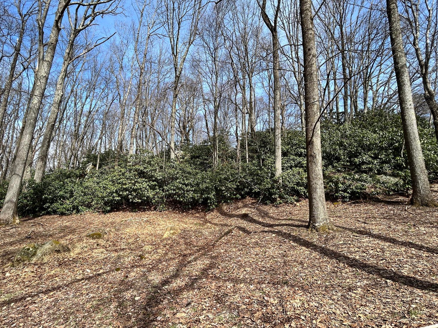 Image for Brick Home on Over 20 Acres on Summers School Rd. in Morgantown