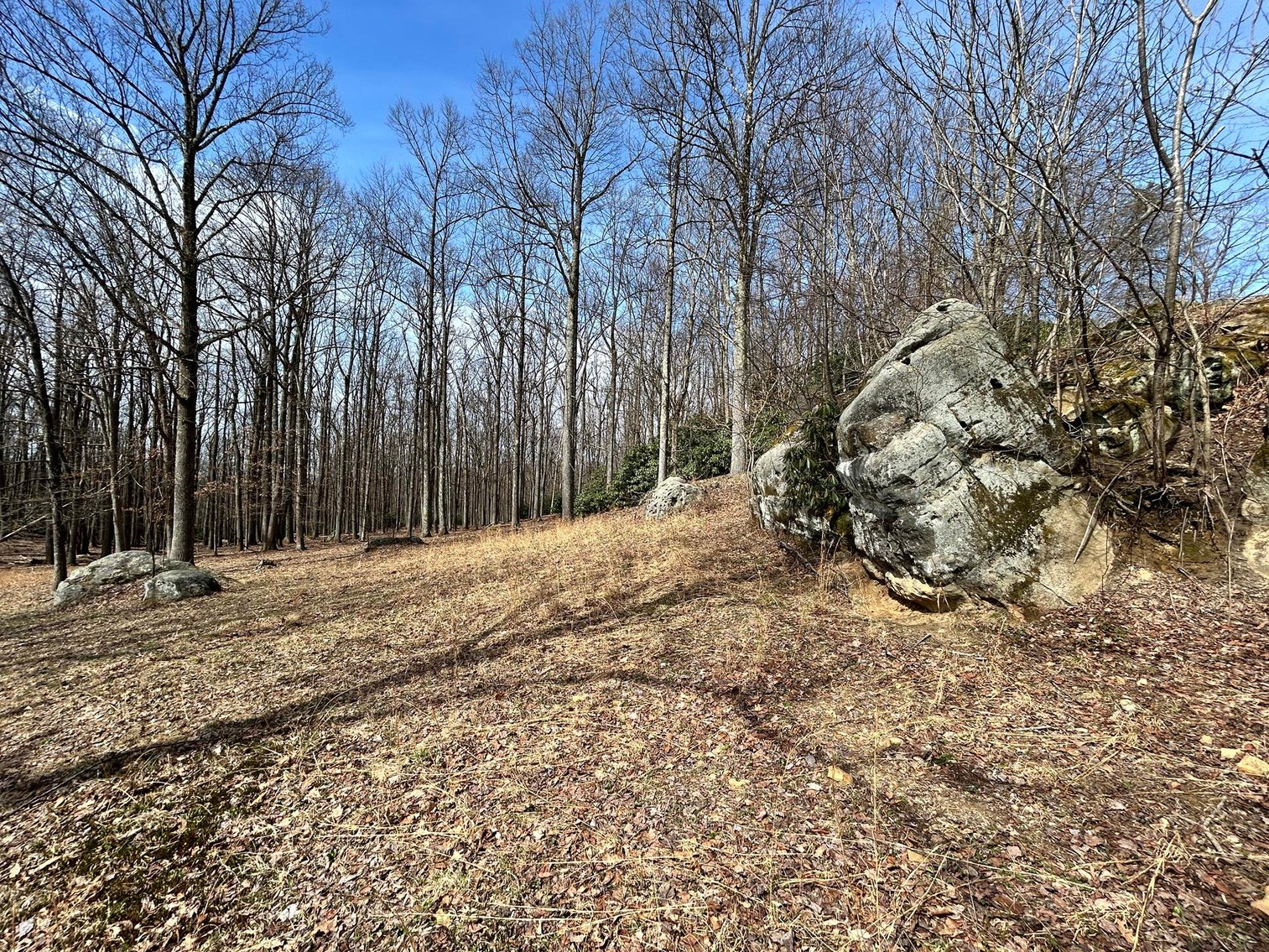 Image for Brick Home on Over 20 Acres on Summers School Rd. in Morgantown