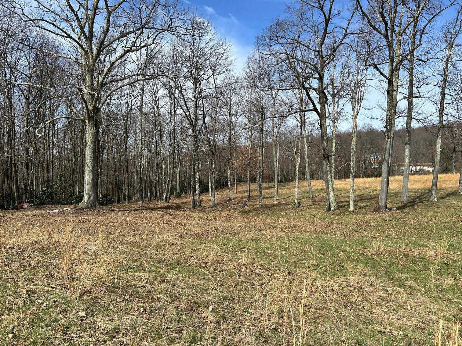 Image for Brick Home on Over 20 Acres on Summers School Rd. in Morgantown