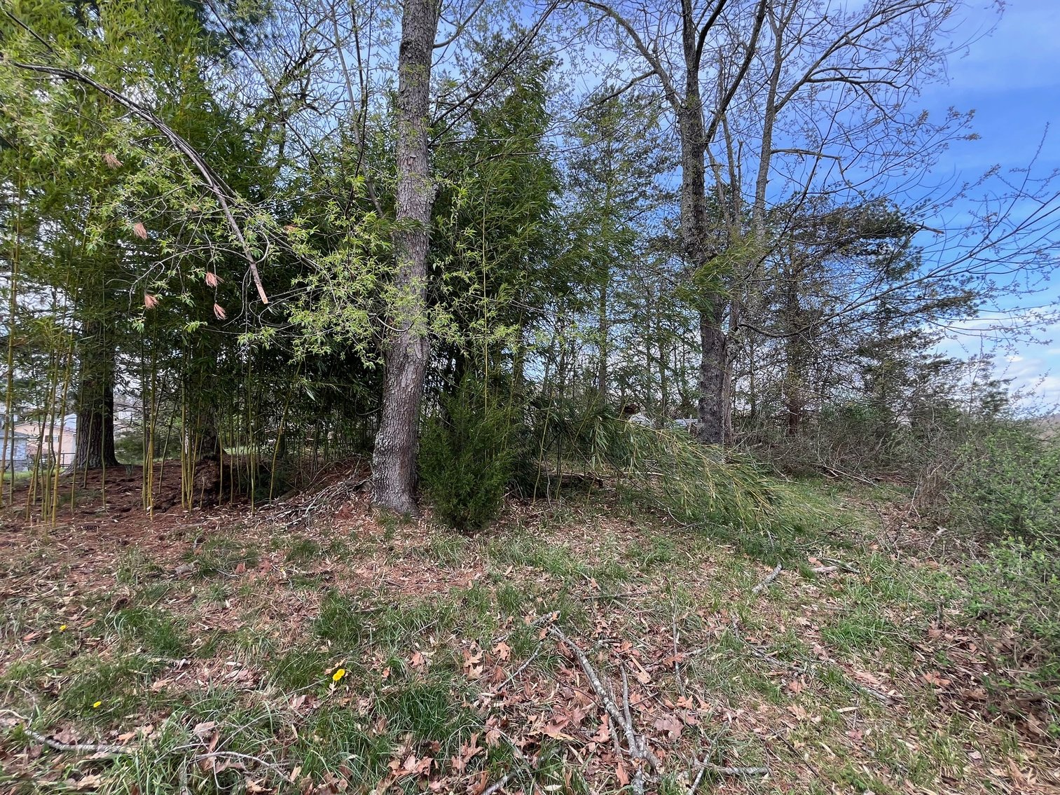 Image for Spacious 4 Bedroom Mid-Entry on a Large Lot in Cross Lanes