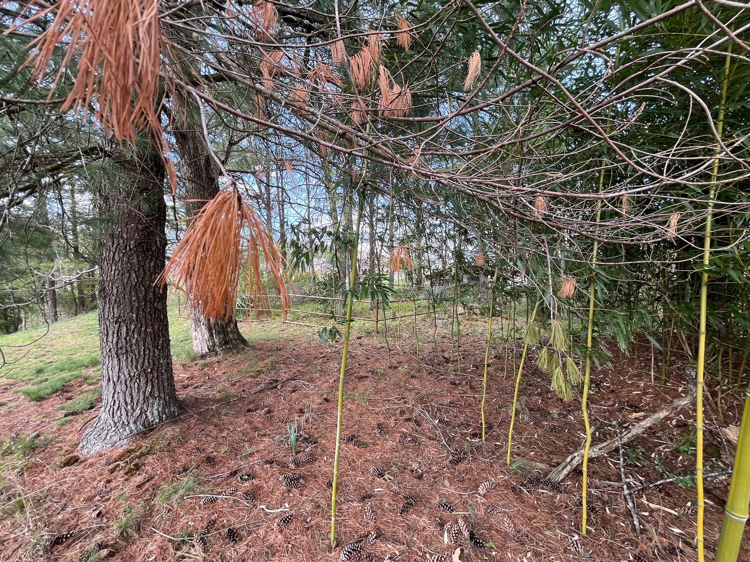 Image for Spacious 4 Bedroom Mid-Entry on a Large Lot in Cross Lanes