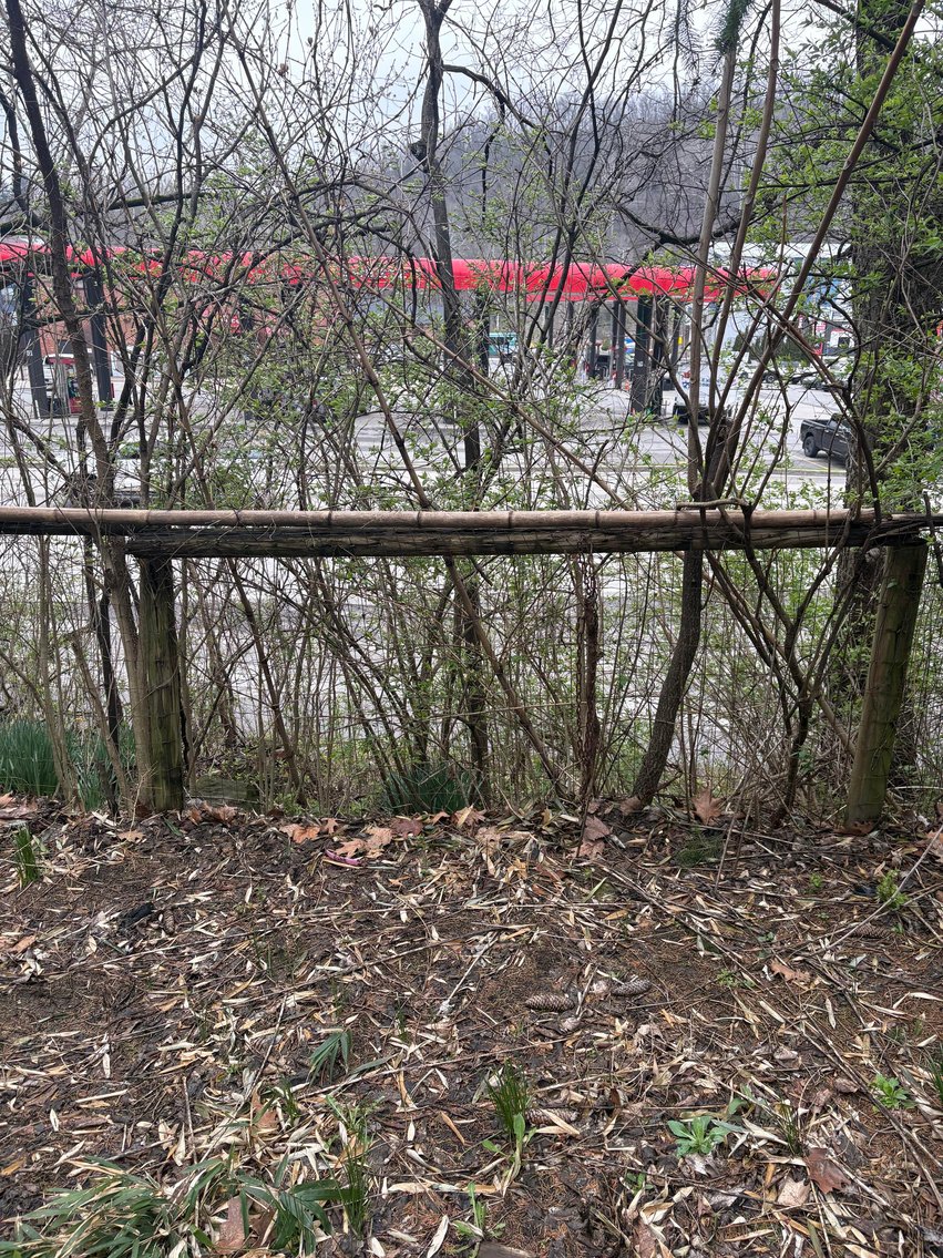 Image for Project Duplex in Morgantown Selling to the Highest Bidder