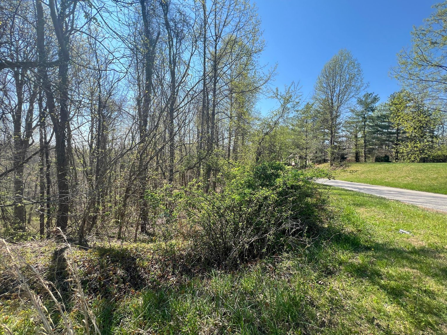 Image for Nearly 4.5 Acre Lot in the Established Whispering Woods Subdivision