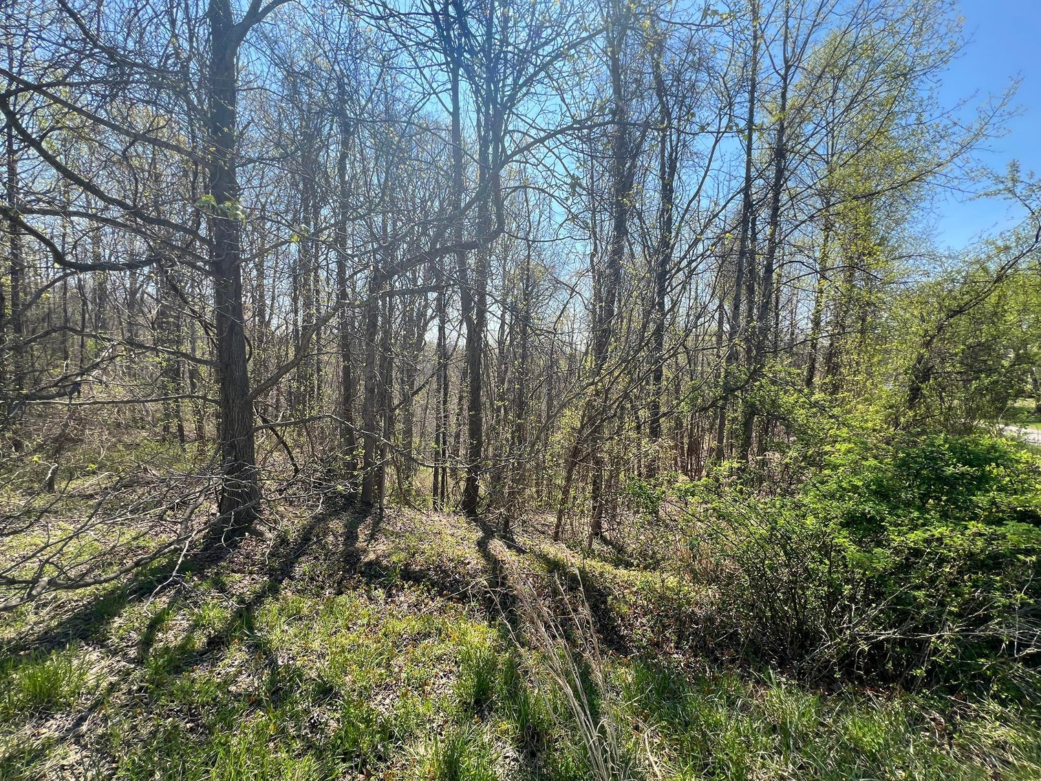 Image for Nearly 4.5 Acre Lot in the Established Whispering Woods Subdivision