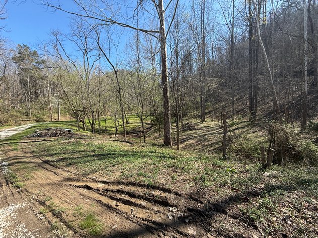 Image for 92.79 Surveyed Acres in Boone County Selling to the Highest Bidder