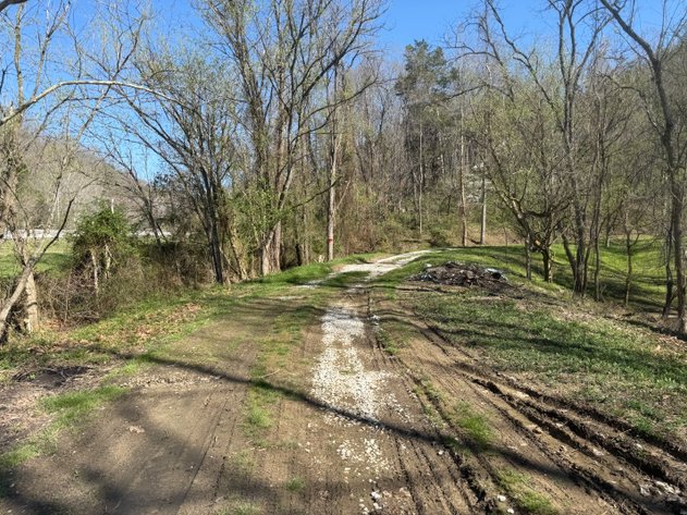 Image for 92.79 Surveyed Acres in Boone County Selling to the Highest Bidder